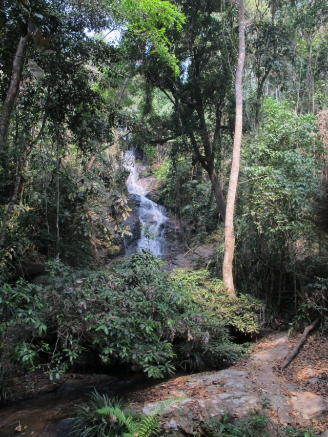 Wasserfall im tropischen Regenwald